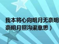 我本将心向明月无奈明月照沟渠啥意思（我本将心向明月无奈明月照沟渠意思）