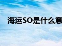 海运SO是什么意思（海运so是什么意思）