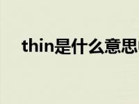 thin是什么意思中文（thin是什么意思）