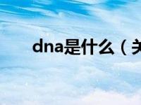 dna是什么（关于dna是什么的介绍）