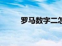 罗马数字二怎么打（二罗马数字）