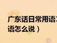 广东话日常用语1000句方言（广东话日常用语怎么说）