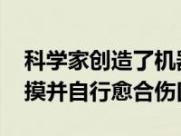 科学家创造了机器人电子皮肤 它可以感知触摸并自行愈合伤口