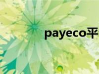 payeco平台登录（payeco）