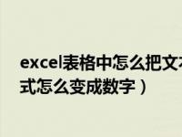 excel表格中怎么把文本格式转换成数字格式（表格文本格式怎么变成数字）