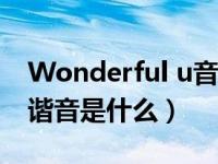 Wonderful u音译（wonderful u音译中文谐音是什么）