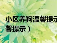 小区养狗温馨提示简短点的（关于小区养狗温馨提示）