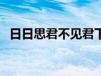 日日思君不见君下一句（日日思君不见君）