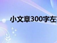 小文章300字左右励志（小文章300字）