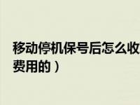 移动停机保号后怎么收取费用的（移动停机保号后怎么收取费用的）