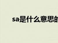 sa是什么意思的缩写（sa是什么意思）