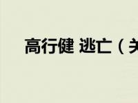 高行健 逃亡（关于高行健 逃亡的介绍）