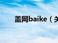 盖网baike（关于盖网baike的介绍）