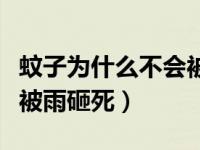 蚊子为什么不会被雨滴砸死（为什么蚊子不会被雨砸死）