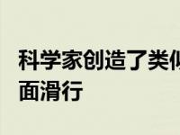 科学家创造了类似蝠Ray的机器人可以跳出水面滑行