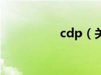 cdp（关于cdp的介绍）