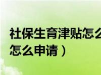 社保生育津贴怎么在网上申报（社保生育津贴怎么申请）