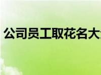 公司员工取花名大全（公司员工好听的花名）