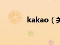 kakao（关于kakao的介绍）