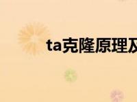 ta克隆原理及流程（ta克隆原理）