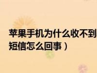 苹果手机为什么收不到验证码短信（苹果手机收不到验证码短信怎么回事）