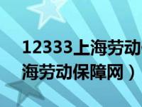 12333上海劳动保障网个人查询（12333上海劳动保障网）