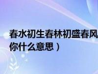 春水初生春林初盛春风十里不如你什么意思（春风十里不如你什么意思）