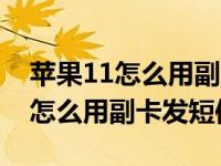 苹果11怎么用副卡发短信给陌生人（苹果11怎么用副卡发短信）