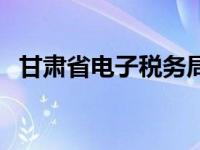 甘肃省电子税务局官网（甘肃省省长信箱）