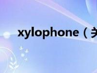 xylophone（关于xylophone的介绍）