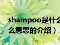 shampoo是什么意思（关于shampoo是什么意思的介绍）