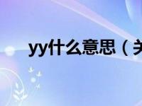 yy什么意思（关于yy什么意思的介绍）