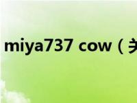 miya737 cow（关于miya737 cow的介绍）