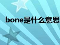 bone是什么意思翻译（bone是什么意思）