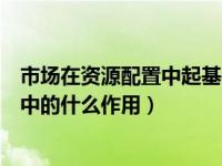 市场在资源配置中起基础性作用（充分发挥市场在资源配置中的什么作用）