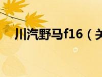 川汽野马f16（关于川汽野马f16的介绍）