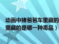 动画中猪爸爸车里藏的是哪一种毒品图片（动画中猪爸爸车里藏的是哪一种毒品）