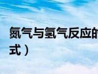 氮气与氢气反应的条件（氮气与氢气反应方程式）