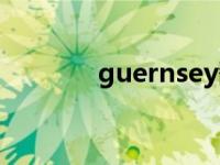 guernsey翻译（guernsey）