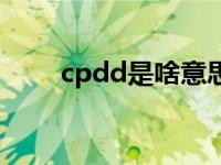 cpdd是啥意思呢（cpdd是啥意思）