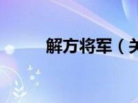 解方将军（关于解方将军的介绍）