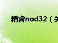 精睿nod32（关于精睿nod32的介绍）