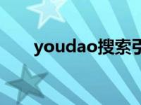 youdao搜索引擎（youdaofanyi1）