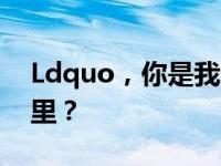 Ldquo，你是我的复兴。谚语rdquo来自哪里？