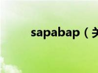 sapabap（关于sapabap的介绍）