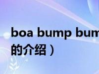 boa bump bump（关于boa bump bump的介绍）