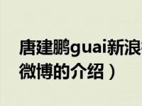 唐建鹏guai新浪微博（关于唐建鹏guai新浪微博的介绍）