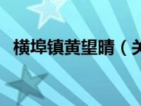 横埠镇黄望晴（关于横埠镇黄望晴的介绍）