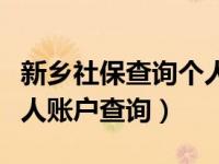 新乡社保查询个人账户明细（新乡社保查询个人账户查询）