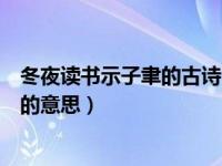 冬夜读书示子聿的古诗的意思道理（冬夜读书示子聿的古诗的意思）